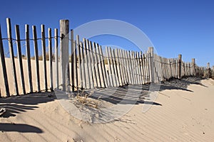 Fence on Sand Dune