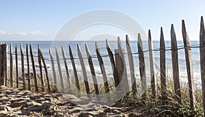 Fence on a Sand Dune