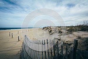 Fence and sand dunes at Cape Henlopen State Park in Rehoboth Beach, Delaware. photo