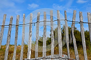 Fence Sea coast atlantic