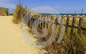 Fence between sea dunes in Apulia, Italy.