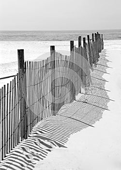 Fence and Shadow on Beach