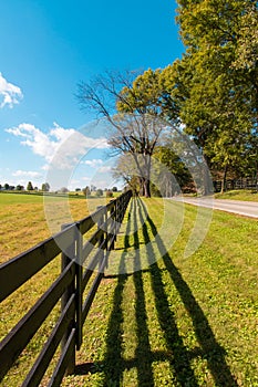 Fence with shadow. Green pastures of horse farms. Country landscape.