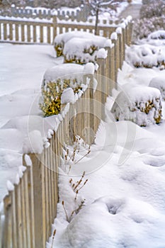 Fence and shrubbery on snow covered ground