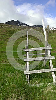 Icelandic hike starts with wooden ladder photo