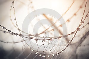 The fence on top of the wound spiral barbed wire, a sharp blade which reflects the morning light