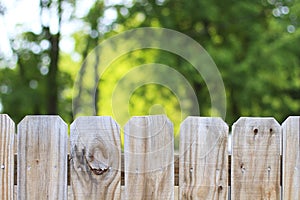 Fence and trees outdoors backyard background