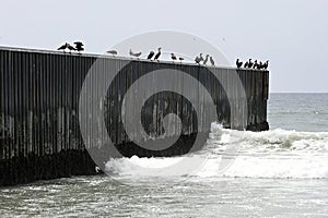 A fence on the United States - Mexico border where it meets the Pacific Ocean in Border Field State Park Beach