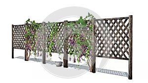 Fence with vine tendrils in wind