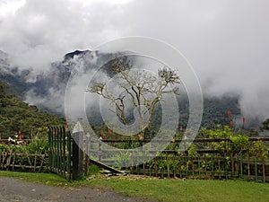 A fence on the way to Cocora Valley in the middle of the fog, Salento