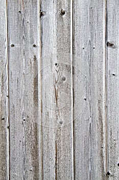 Fence weathered wood background