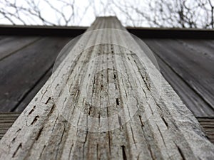 Fence on a winter day photo