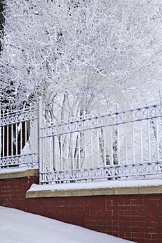 The fence of the winter park. Bushes and trees are covered with thick frost