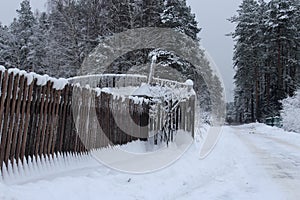 Fence in winter