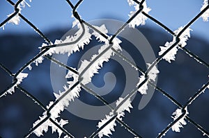 Fence, winter texture, background