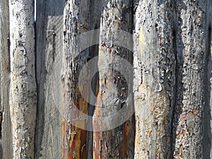 Fence of wooden boards