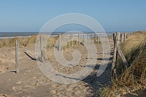 A fence with wooden piles in a dune landscape with the coastline of the Dutch North sea in the background