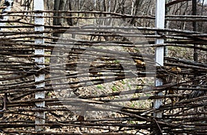 Fence woven out of dry twigs. Horizontal rectangular photo.