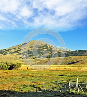 In the fenced area of the valley cows graze