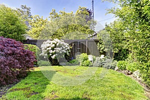 Fenced backyard garden