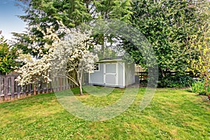 Fenced backyard with grass filled garden and small shed.