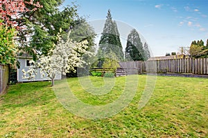 Fenced backyard with grass filled garden and small shed.