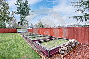 Fenced backyard with green grass and raised beds