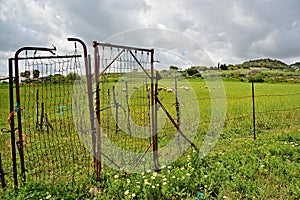 Fenced field