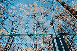 Fenced and guarded private area in the forest with video surveillance and barbed wire