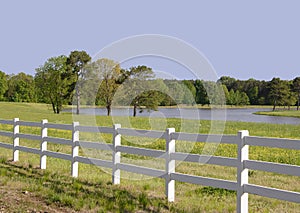 The Fenced in Pasture