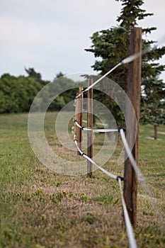 Fenced pasture