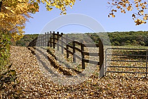 Fenced Pasture