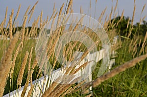 Fenced pastures and rolled hay bales