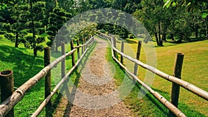 Fenced path in a green garden