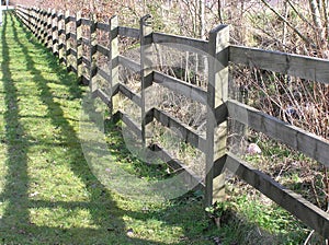 Fenceline Shadows