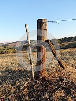 Fencepost at the farm