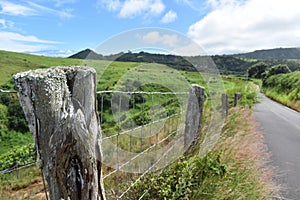 Fencepost from a green hilly ranch along the Road to Hana on the island of Maui, Hawaii