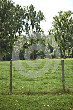 Fencepost and Meadows