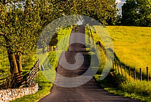 Fences and farm fields along a hilly road in Antietam National Battlefield