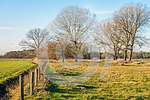 Fences and leafless trees in a rural landscape