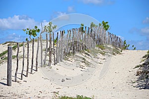 Fences made of tree branches forming a street, delimiting small properties, typical of the coast of northeastern Brazil. photo