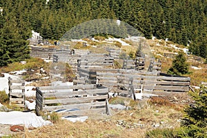 Fences for protection of trees