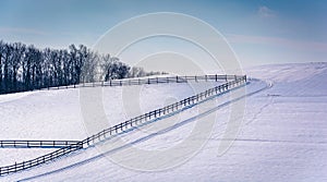 Fences on a snow covered farm field in rural Carroll County, Mar photo