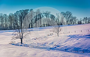 Fences and trees on a snow covered hill in rural York County, Pe