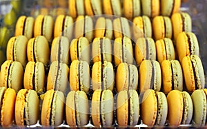 Fench macarons background close up