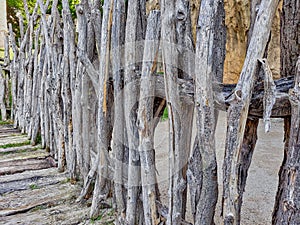 Fencing with dry wood logs