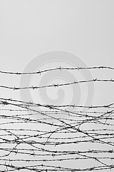 Fencing. Fence with barbed wire. Let. Jail. Thorns. Block. A prisoner. Holocaust. Concentration camp. Prisoners. Depressive