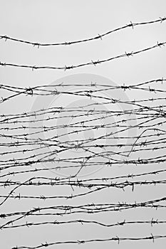 Fencing. Fence with barbed wire. Let. Jail. Thorns. Block. A prisoner. Holocaust. Concentration camp. Prisoners. Depressive