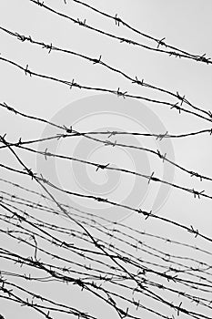 Fencing. Fence with barbed wire. Let. Jail. Thorns. Block. A prisoner. Holocaust. Concentration camp. Prisoners. Depressive