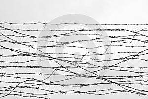 Fencing. Fence with barbed wire. Let. Jail. Thorns. Block. A prisoner. Holocaust. Concentration camp. Prisoners. Depressive